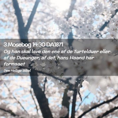 Picture 02 - 3 Mosebog 14:30 DA1871 - Og han skal lave den ene af de Turtelduer eller - Bible Verse Picture