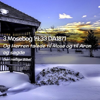 Picture 02 - 3 Mosebog 14:33 DA1871 - Og Herren talede til Mose og til Aron og - Bible Verse Picture