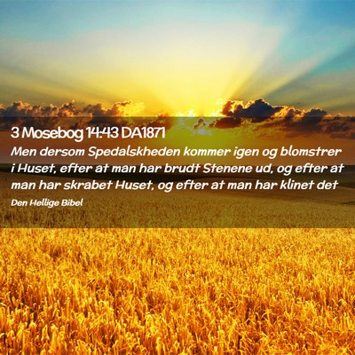 Picture 02 - 3 Mosebog 14:43 DA1871 - Men dersom Spedalskheden kommer igen og blomstrer - Bible Verse Picture
