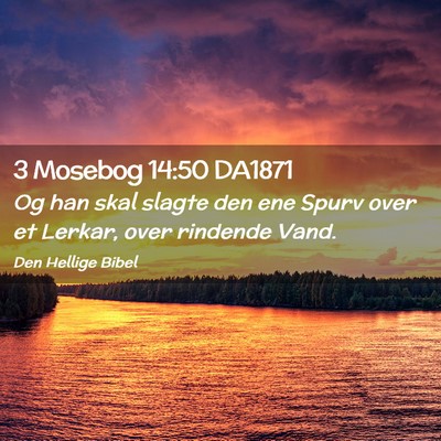 Picture 02 - 3 Mosebog 14:50 DA1871 - Og han skal slagte den ene Spurv over et Lerkar, - Bible Verse Picture