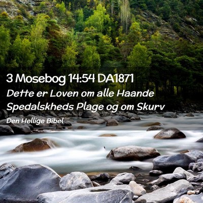Picture 02 - 3 Mosebog 14:54 DA1871 - Dette er Loven om alle Haande Spedalskheds Plage - Bible Verse Picture