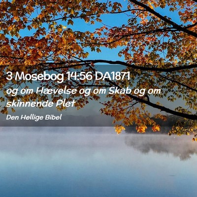 Picture 02 - 3 Mosebog 14:56 DA1871 - og om Hævelse og om Skab og om skinnende - Bible Verse Picture