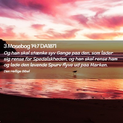 Picture 02 - 3 Mosebog 14:7 DA1871 - Og han skal stænke syv Gange paa den, som lader - Bible Verse Picture