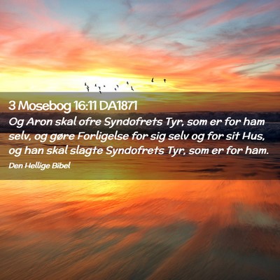 Picture 02 - 3 Mosebog 16:11 DA1871 - Og Aron skal ofre Syndofrets Tyr, som er for ham - Bible Verse Picture