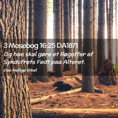 Picture 02 - 3 Mosebog 16:25 DA1871 - Og han skal gøre et Røgoffer af Syndofrets Fedt - Bible Verse Picture
