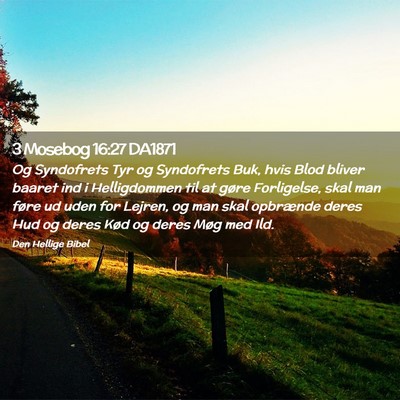 Picture 02 - 3 Mosebog 16:27 DA1871 - Og Syndofrets Tyr og Syndofrets Buk, hvis Blod - Bible Verse Picture