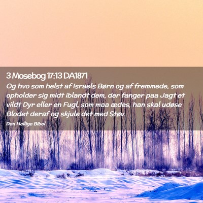 Picture 02 - 3 Mosebog 17:13 DA1871 - Og hvo som helst af Israels Børn og af fremmede, - Bible Verse Picture