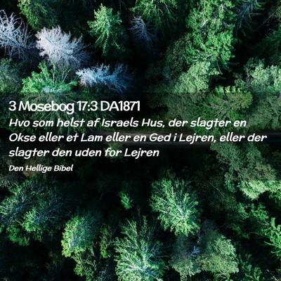 Picture 02 - 3 Mosebog 17:3 DA1871 - Hvo som helst af Israels Hus, der slagter en Okse - Bible Verse Picture