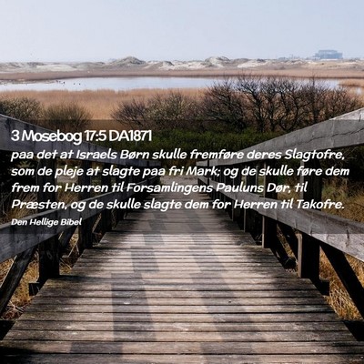 Picture 02 - 3 Mosebog 17:5 DA1871 - paa det at Israels Børn skulle fremføre deres - Bible Verse Picture