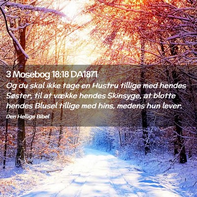 Picture 02 - 3 Mosebog 18:18 DA1871 - Og du skal ikke tage en Hustru tillige med hendes - Bible Verse Picture