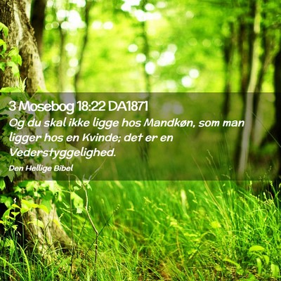 Picture 02 - 3 Mosebog 18:22 DA1871 - Og du skal ikke ligge hos Mandkøn, som man - Bible Verse Picture