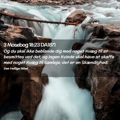 Picture 02 - 3 Mosebog 18:23 DA1871 - Og du skal ikke beblande dig med noget Kvæg til - Bible Verse Picture
