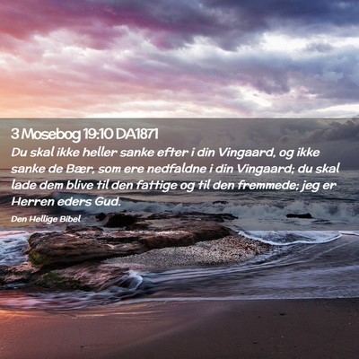 Picture 02 - 3 Mosebog 19:10 DA1871 - Du skal ikke heller sanke efter i din Vingaard, - Bible Verse Picture