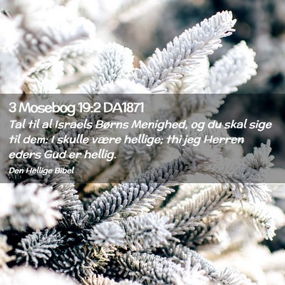 Picture 02 - 3 Mosebog 19:2 DA1871 - Tal til al Israels Børns Menighed, og du skal - Bible Verse Picture