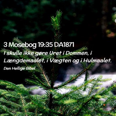 Picture 02 - 3 Mosebog 19:35 DA1871 - I skulle ikke gøre Uret i Dommen, i - Bible Verse Picture