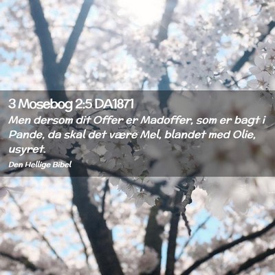 Picture 02 - 3 Mosebog 2:5 DA1871 - Men dersom dit Offer er Madoffer, som er bagt i - Bible Verse Picture