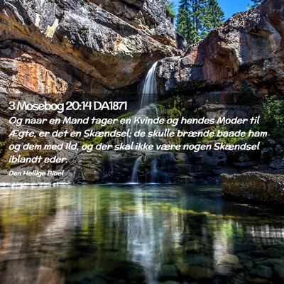 Picture 02 - 3 Mosebog 20:14 DA1871 - Og naar en Mand tager en Kvinde og hendes Moder - Bible Verse Picture