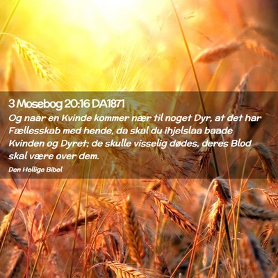 Picture 02 - 3 Mosebog 20:16 DA1871 - Og naar en Kvinde kommer nær til noget Dyr, at - Bible Verse Picture