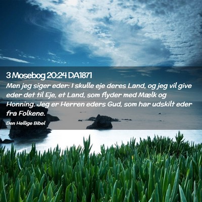 Picture 02 - 3 Mosebog 20:24 DA1871 - Men jeg siger eder: I skulle eje deres Land, og - Bible Verse Picture