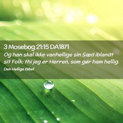 Picture 02 - 3 Mosebog 21:15 DA1871 - Og han skal ikke vanhellige sin Sæd iblandt sit - Bible Verse Picture