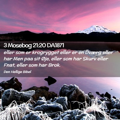 Picture 02 - 3 Mosebog 21:20 DA1871 - eller som er krogrygget eller er en Dværg eller - Bible Verse Picture