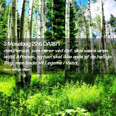 Picture 02 - 3 Mosebog 22:6 DA1871 - den Person, som rører ved det, skal være uren - Bible Verse Picture