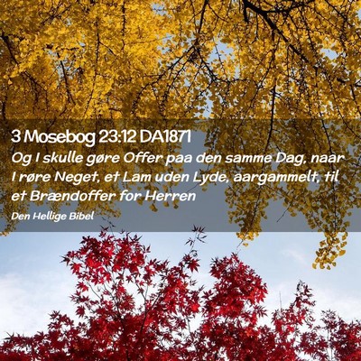 Picture 02 - 3 Mosebog 23:12 DA1871 - Og I skulle gøre Offer paa den samme Dag, naar I - Bible Verse Picture