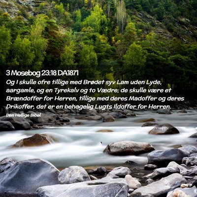 Picture 02 - 3 Mosebog 23:18 DA1871 - Og I skulle ofre tillige med Brødet syv Lam uden - Bible Verse Picture
