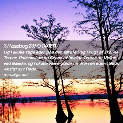 Picture 02 - 3 Mosebog 23:40 DA1871 - Og I skulle tage eder paa den første Dag Frugt - Bible Verse Picture