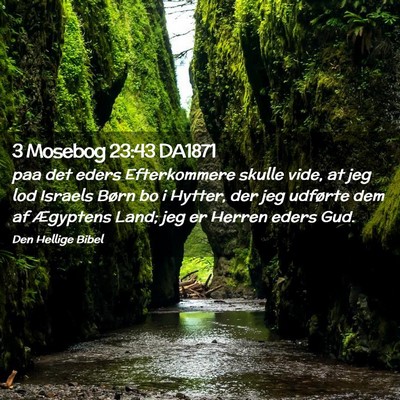 Picture 02 - 3 Mosebog 23:43 DA1871 - paa det eders Efterkommere skulle vide, at jeg - Bible Verse Picture
