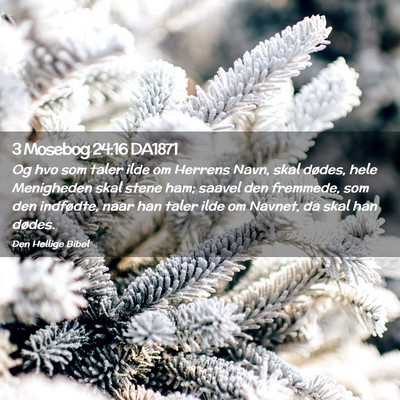 Picture 02 - 3 Mosebog 24:16 DA1871 - Og hvo som taler ilde om Herrens Navn, skal - Bible Verse Picture