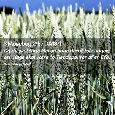 Picture 02 - 3 Mosebog 24:5 DA1871 - Og du skal tage Mel og bage deraf tolv Kager; een - Bible Verse Picture