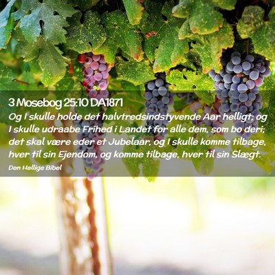 Picture 02 - 3 Mosebog 25:10 DA1871 - Og I skulle holde det halvtredsindstyvende Aar - Bible Verse Picture