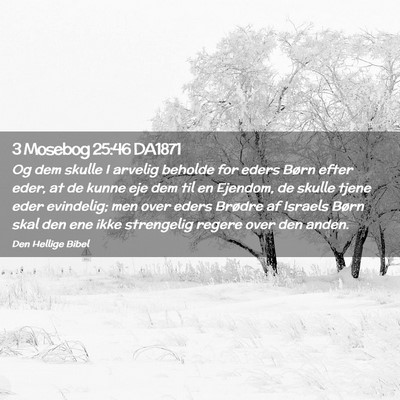 Picture 02 - 3 Mosebog 25:46 DA1871 - Og dem skulle I arvelig beholde for eders Børn - Bible Verse Picture