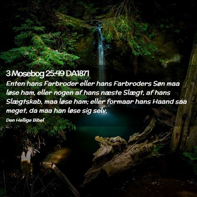 Picture 02 - 3 Mosebog 25:49 DA1871 - Enten hans Farbroder eller hans Farbroders Søn - Bible Verse Picture