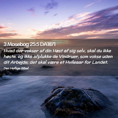 Picture 02 - 3 Mosebog 25:5 DA1871 - Hvad der vokser af din Høst af sig selv, skal du - Bible Verse Picture