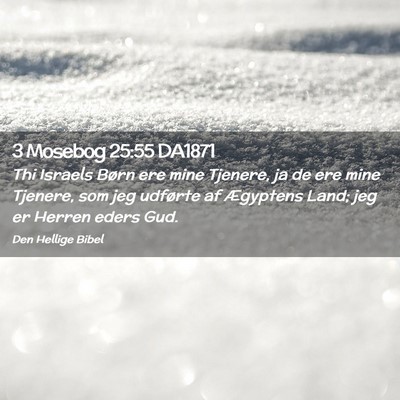 Picture 02 - 3 Mosebog 25:55 DA1871 - Thi Israels Børn ere mine Tjenere, ja de ere - Bible Verse Picture
