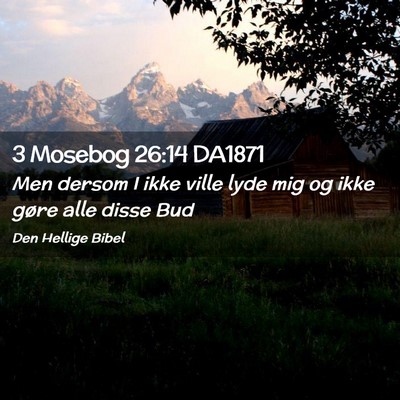 Picture 02 - 3 Mosebog 26:14 DA1871 - Men dersom I ikke ville lyde mig og ikke gøre - Bible Verse Picture