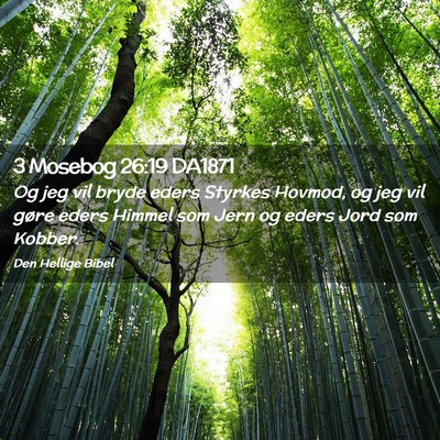 Picture 02 - 3 Mosebog 26:19 DA1871 - Og jeg vil bryde eders Styrkes Hovmod, og jeg vil - Bible Verse Picture