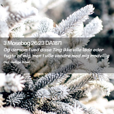 Picture 02 - 3 Mosebog 26:23 DA1871 - Og dersom I ved disse Ting ikke ville lade eder - Bible Verse Picture