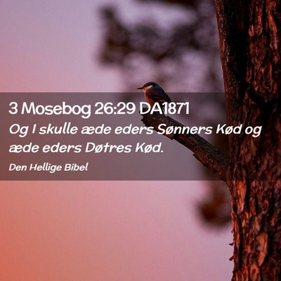 Picture 02 - 3 Mosebog 26:29 DA1871 - Og I skulle æde eders Sønners Kød og æde - Bible Verse Picture