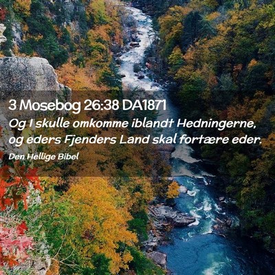 Picture 02 - 3 Mosebog 26:38 DA1871 - Og I skulle omkomme iblandt Hedningerne, og eders - Bible Verse Picture