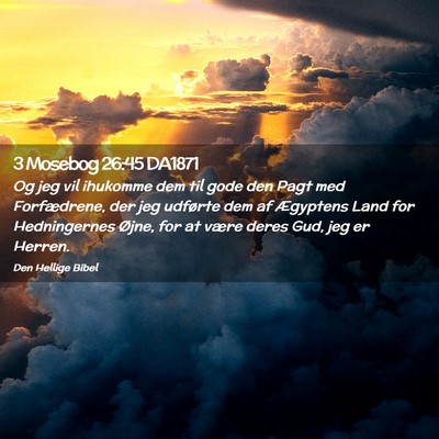 Picture 02 - 3 Mosebog 26:45 DA1871 - Og jeg vil ihukomme dem til gode den Pagt med - Bible Verse Picture