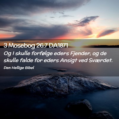 Picture 02 - 3 Mosebog 26:7 DA1871 - Og I skulle forfølge eders Fjender, og de skulle - Bible Verse Picture