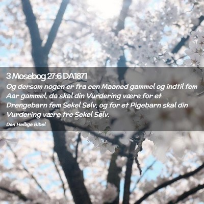 Picture 02 - 3 Mosebog 27:6 DA1871 - Og dersom nogen er fra een Maaned gammel og - Bible Verse Picture