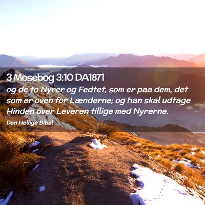 Picture 02 - 3 Mosebog 3:10 DA1871 - og de to Nyrer og Fedtet, som er paa dem, det som - Bible Verse Picture