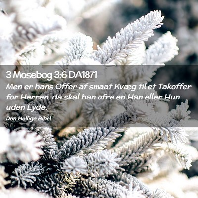 Picture 02 - 3 Mosebog 3:6 DA1871 - Men er hans Offer af smaat Kvæg til et Takoffer - Bible Verse Picture