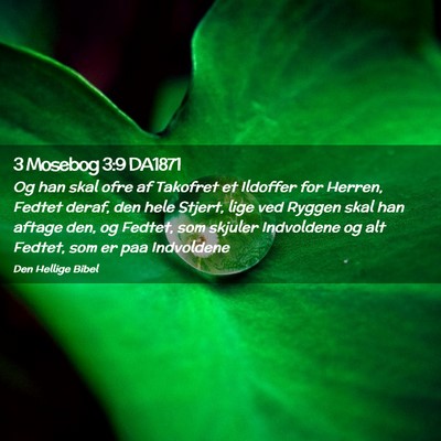 Picture 02 - 3 Mosebog 3:9 DA1871 - Og han skal ofre af Takofret et Ildoffer for - Bible Verse Picture