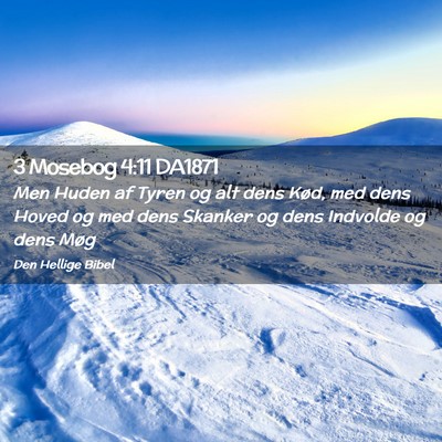 Picture 02 - 3 Mosebog 4:11 DA1871 - Men Huden af Tyren og alt dens Kød, med dens - Bible Verse Picture