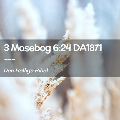 Picture 02 - 3 Mosebog 6:24 DA1871 -  - Bible Verse Picture